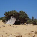 Gawdos / Małgorzata Gębska