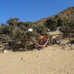 Gawdos / Małgorzata Gębska