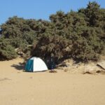 Gawdos / Małgorzata Gębska