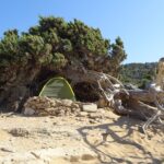 Gawdos / Małgorzata Gębska