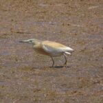 Kreta / Małgorzata Gębska