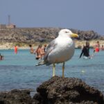 Kreta / Małgorzata Gębska