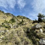 Rumunia / Joanna Dąbek