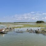 Rumunia / Joanna Dąbek