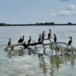 Rumunia / Joanna Dąbek