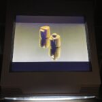 18.12.2021. Sandomierz. Szachy sandomierskie na stałej ekspozycji / Grażyna Szlęzak-Wójcik / Radio Kielce