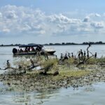 Rumunia / Joanna Dąbek