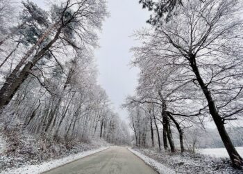 zima szron śnieg mróz / Wiktor Taszłow / Radio Kielce