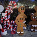 12.12.2021. Sandomierz. Wspólne ubieranie choinki przez mieszkańców miasta / Grażyna Szlęzak-Wójcik / Radio Kielce