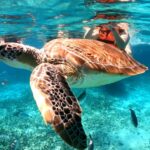 Meksyk / Magda i Bartek Stolarczykowie