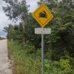 Meksyk / Magda i Bartek Stolarczykowie