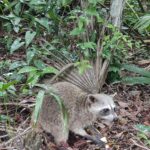 Meksyk / Magda i Bartek Stolarczykowie