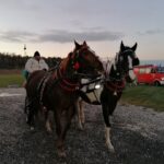 03.12.2021. Górki w gminie Kije. Mikołaj ze swoim orszakiem odwiedza dzieci / Marta Gajda-Kruk / Radio Kielce