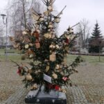 08.12.2021. Nowy Korczyn. Choinki na Rynku / Marta Gajda-Kruk / Radio Kielce