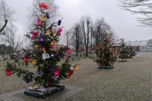 08.12.2021. Nowy Korczyn. Choinki na Rynku / Marta Gajda-Kruk / Radio Kielce