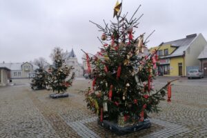 08.12.2021. Nowy Korczyn. Choinki na Rynku / Marta Gajda-Kruk / Radio Kielce