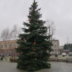 08.12.2021. Nowy Korczyn. Choinki na Rynku / Marta Gajda-Kruk / Radio Kielce