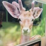 09.12.2021. Busko-Zdrój. XXV Ogólnopolski Przegląd Fotograficzny PONIDZIE 2021 / Marta Gajda-Kruk / Radio Kielce