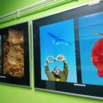 09.12.2021. Busko-Zdrój. XXV Ogólnopolski Przegląd Fotograficzny PONIDZIE 2021 / Marta Gajda-Kruk / Radio Kielce