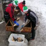 15.12.2021. Imielno. Gospodarstwo Rybackie Stawy / Marta Gajda-Kruk / Radio Kielce