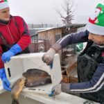 15.12.2021. Imielno. Gospodarstwo Rybackie Stawy / Marta Gajda-Kruk / Radio Kielce