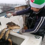 15.12.2021. Imielno. Gospodarstwo Rybackie Stawy / Marta Gajda-Kruk / Radio Kielce