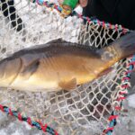 Fot. Marta Gajda-Kruk - Radio Kielce