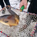 15.12.2021. Imielno. Gospodarstwo Rybackie Stawy / Marta Gajda-Kruk / Radio Kielce