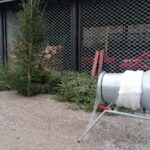 18.12.2021. Michałów. Choinki w Leśnictwie Michałów / Marta Gajda-Kruk / Radio Kielce