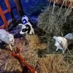 19.12.2021. Skalbmierz. Świąteczne dekoracje / Marta Gajda-Kruk / Radio Kielce