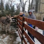 25.12.2021. Działoszyce. Żywa szopka / Marta Gajda-Kruk / Radio Kielce