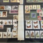 17.12.2021. Staszów. Wystawa zbiorów prywatnych kolekcjonerów / Grażyna Szlęzak-Wójcik / Radio Kielce