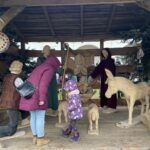 19.12.2021. Staszów. Ubieranie choinki i jarmark bożonarodzeniowy / Grażyna Szlęzak-Wójcik / Radio Kielce