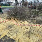 17.12.2021. Kielce. Wycinka drzew na skwerze im. Ireny Sendlerowej / Jarosław Kubalski / Radio Kielce