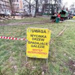 17.12.2021. Kielce. Wycinka drzew na skwerze im. Ireny Sendlerowej / Jarosław Kubalski / Radio Kielce