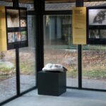 13.11.2021. Sudół. Muzeum Archeologiczne i Rezerwat „Krzemionki”. Podziemna trasa turystyczna / Robert Felczak / Radio Kielce