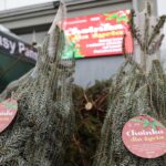 16.12.2021. Kielce. Akcja „Choinka dla życia” / Wiktor Taszłow / Radio Kielce