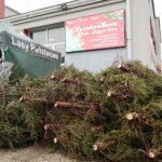 16.12.2021. Kielce. Akcja „Choinka dla życia” / Wiktor Taszłow / Radio Kielce