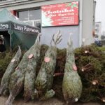 16.12.2021. Kielce. Akcja „Choinka dla życia” / Wiktor Taszłow / Radio Kielce