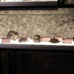 16.12.2021. Nowa Słupia. Otwarcie Muzeum Starożytnego Hutnictwa Świętokrzyskiego / Wiktor Taszłow / Radio Kielce