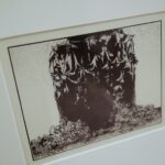 19.12.2021. Kielce. Wystawa „Po 1945. Przegląd grafiki artystycznej ze zbiorów Muzeum Narodowego w Kielcach” / Wiktor Taszłow / Radio Kielce