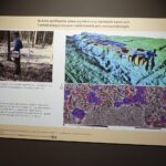 16.12.2021. Nowa Słupia. Otwarcie Muzeum Starożytnego Hutnictwa Świętokrzyskiego / Wiktor Taszłow / Radio Kielce