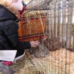 25.12.2021. Brzeziny. Żywa szopka i wspólne śpiewanie / Wiktor Taszłow / Radio Kielce