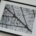 02.12.2021. Kielce. Galeria Oranżeria. Wystawa podsumowująca projekt „Il Segno dei Canti” / Wiktor Taszłow / Radio Kielce