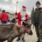 Jacek i Maria Niwińscy ze Szczekocin z jednym z reniferów / Emilia Sitarska / Radio Kielce