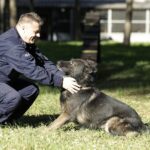 08.10.2021 Kielce. Pies policyjny Kajman z przewodnikiem asp. sztab. Mariuszem Pawłowskim / Jarosław Kubalski / Radio Kielce