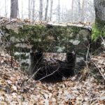22.11.2021. Kompleks Lasów Cisowskich. Pozostałość po kolejce wąskotorowej / Jarosław Kubalski / Radio Kielce