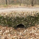 22.11.2021. Kompleks Lasów Cisowskich. Pozostałość po kolejce wąskotorowej / Jarosław Kubalski / Radio Kielce