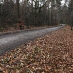 Fot. Jarosław Kubalski - Radio Kielce