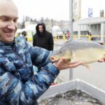 18.12.2021 Kielce. Karp żywy / Jarosław Kubalski / Radio Kielce